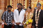 Producer P Kannappan Daughter Wedding Photos  - 25 of 34