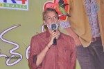 Pure Love Movie Audio Launch - 48 of 64