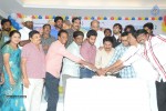 Pyar Mein Padipoyane First Look Launch - 27 of 72