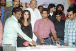 Pyar Mein Padipoyane First Look Launch - 47 of 72