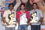 Pyar Mein Padipoyane Platinum Disc Function - 39 of 126