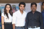 Pyar Mein Padipoyane Success Meet - 95 of 110