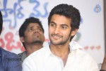 Pyar Mein Padipoyane Success Meet - 99 of 110