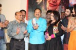 Q Premaku Chavuku Audio Launch - 14 of 64