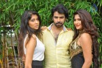 Q Premaku Chavuku Movie Opening - 1 of 62