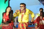 Ra Ra Krishnayya Audio Launch 03 - 25 of 208