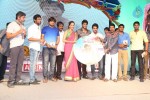 Ra Ra Krishnayya Audio Launch 03 - 27 of 208