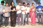 Ra Ra Krishnayya Audio Launch 03 - 33 of 208