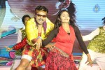 Ra Ra Krishnayya Audio Launch 03 - 62 of 208