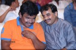 Ra Ra Krishnayya Audio Launch 03 - 176 of 208