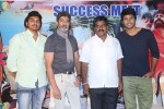 Ra Ra Krishnayya Success Meet - 56 of 72