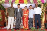 Raasi Movies Narasimha Rao Daughter Wedding Photos - 4 of 40