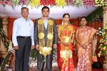 Raasi Movies Narasimha Rao Daughter Wedding Photos - 6 of 40