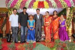 Raasi Movies Narasimha Rao Daughter Wedding Photos - 15 of 40