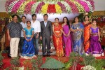 Raasi Movies Narasimha Rao Daughter Wedding Photos - 18 of 40