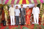 Raasi Movies Narasimha Rao Daughter Wedding Photos - 20 of 40
