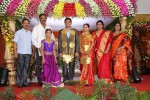 Raasi Movies Narasimha Rao Daughter Wedding Photos - 26 of 40