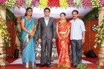 Raasi Movies Narasimha Rao Daughter Wedding Photos - 30 of 40