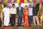 Raasi Movies Narasimha Rao Daughter Wedding Photos - 32 of 40