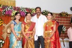 Raasi Movies Narasimha Rao Daughter Wedding Photos - 37 of 40