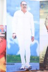 Rabhasa Movie Audio Launch 01 - 32 of 42
