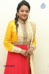 Rabhasa Movie Audio Launch 02 - 29 of 91