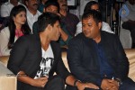 Race Gurram Audio Launch 01 - 2 of 75