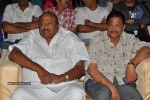 Race Gurram Audio Launch 01 - 60 of 75