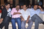 Race Gurram Audio Launch 02 - 95 of 165