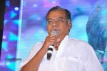 Race Gurram Audio Launch 02 - 159 of 165