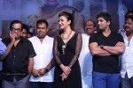 Race Gurram Success Meet 01 - 246 of 328