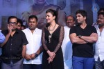 Race Gurram Success Meet 01 - 15 of 328