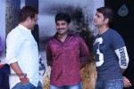 Race Gurram Success Meet 01 - 56 of 328