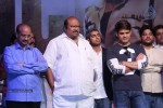 Race Gurram Success Meet 02 - 46 of 86