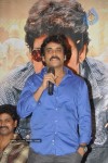 Ragada Movie Triple Platinum Disc Function - 43 of 48