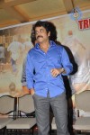 Ragada Movie Triple Platinum Disc Function - 46 of 48