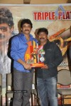 Ragada Movie Triple Platinum Disc Function - 50 of 48