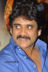 Ragada Movie Triple Platinum Disc Function - 52 of 48