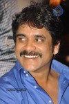 Ragada Movie Triple Platinum Disc Function - 53 of 48