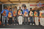 Ragada Movie Triple Platinum Disc Function - 54 of 48