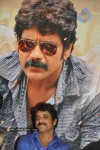 Ragada Movie Triple Platinum Disc Function - 59 of 48