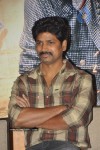 Ragada Movie Triple Platinum Disc Function - 60 of 48