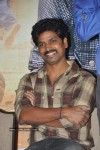 Ragada Movie Triple Platinum Disc Function - 22 of 48