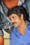 Ragada Movie Triple Platinum Disc Function - 23 of 48
