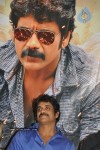 Ragada Movie Triple Platinum Disc Function - 27 of 48