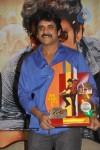 Ragada Movie Triple Platinum Disc Function - 40 of 48