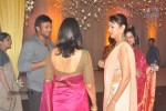 Raghavendra rao Son Wedding Reception 02 - 22 of 226
