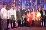 Raghavendra rao Son Wedding Reception 02 - 86 of 226