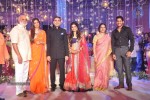 Raghavendra rao Son Wedding Reception 02 - 154 of 226