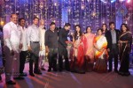 Raghavendra rao Son Wedding Reception 02 - 188 of 226